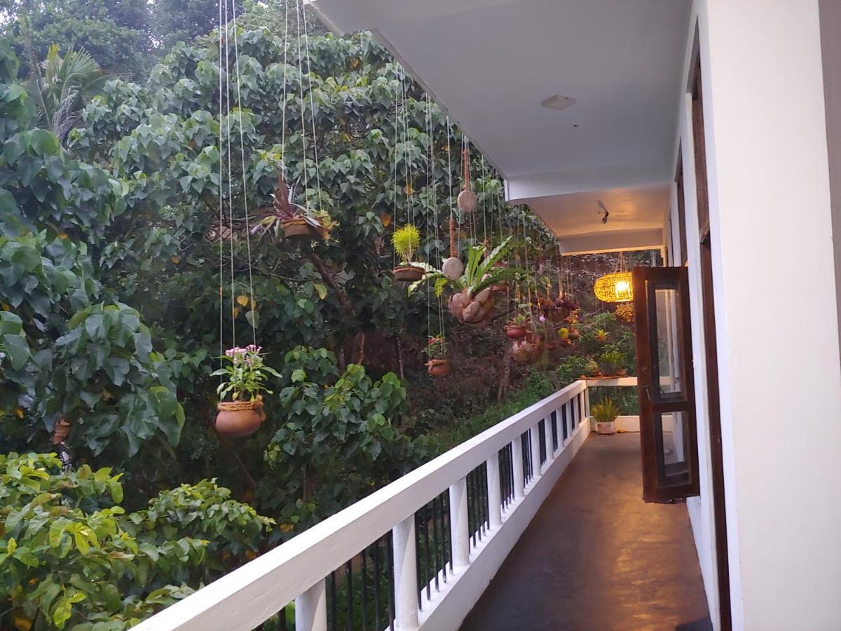 Daasa Guest Mirissa Hotel Exterior photo